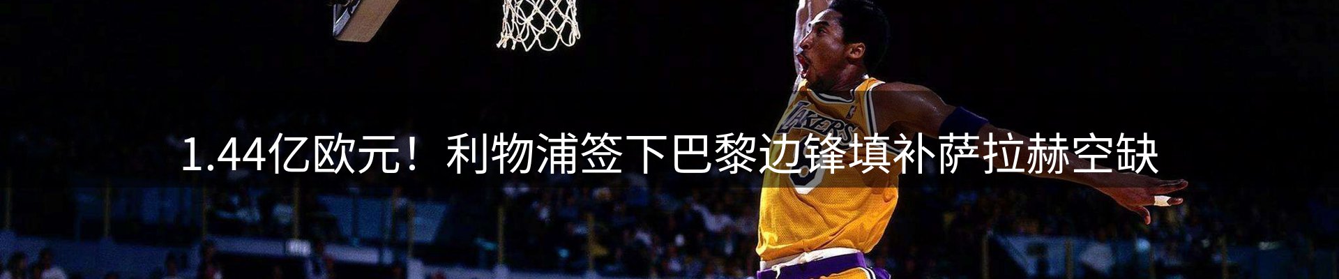 行业洞察